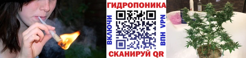 хочу   Дубна  Бошки марихуана ГИДРОПОН 
